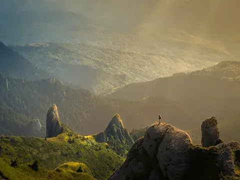 Nature